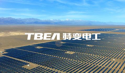 特变电工<br/>网站建设